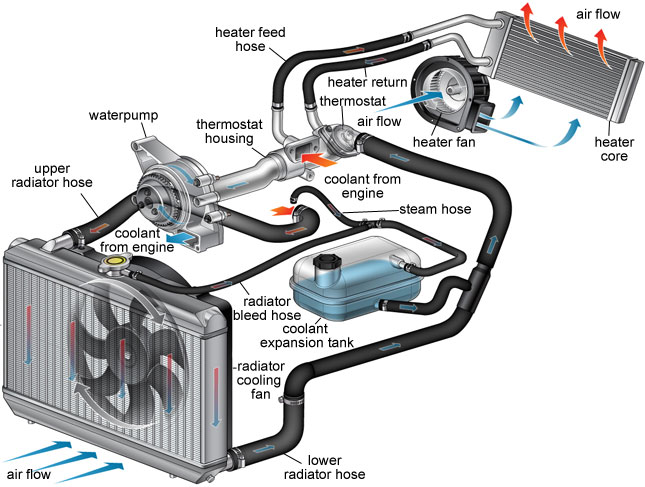 What you need to know about your Automotive Cooling System - TOYTECHS ...